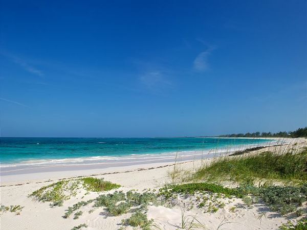 Beachfront Vacation Rental with 4 Bedrooms in Bahamas