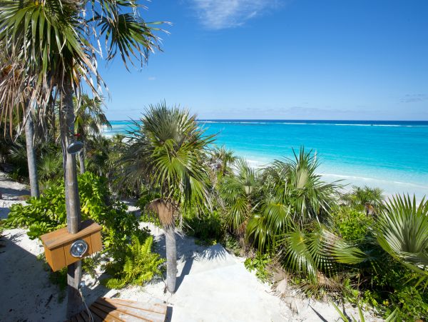 Bahamas Vacation Pool Home On Beach Six Bedroom with Guest House