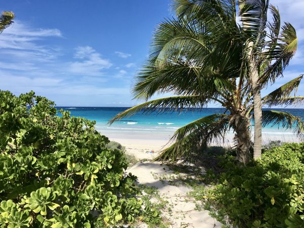 Bahamas Home 958541