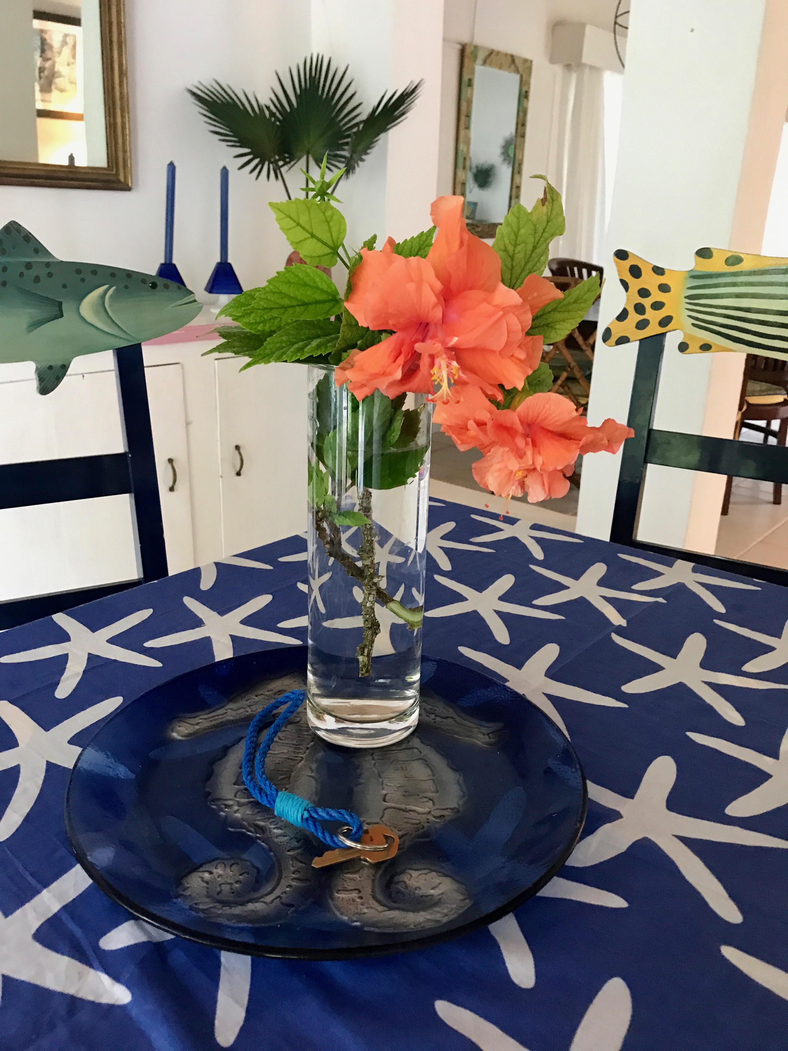 Bahamas Home 958546