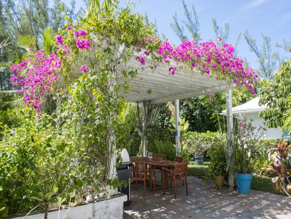 Bahamas Home 958546