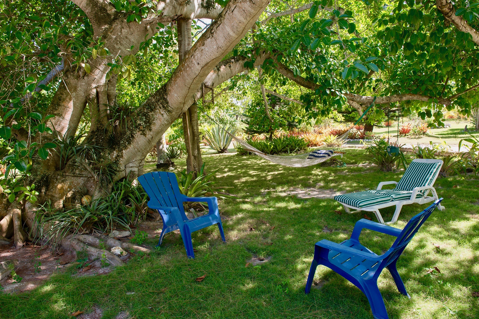Bahamas Home 958546