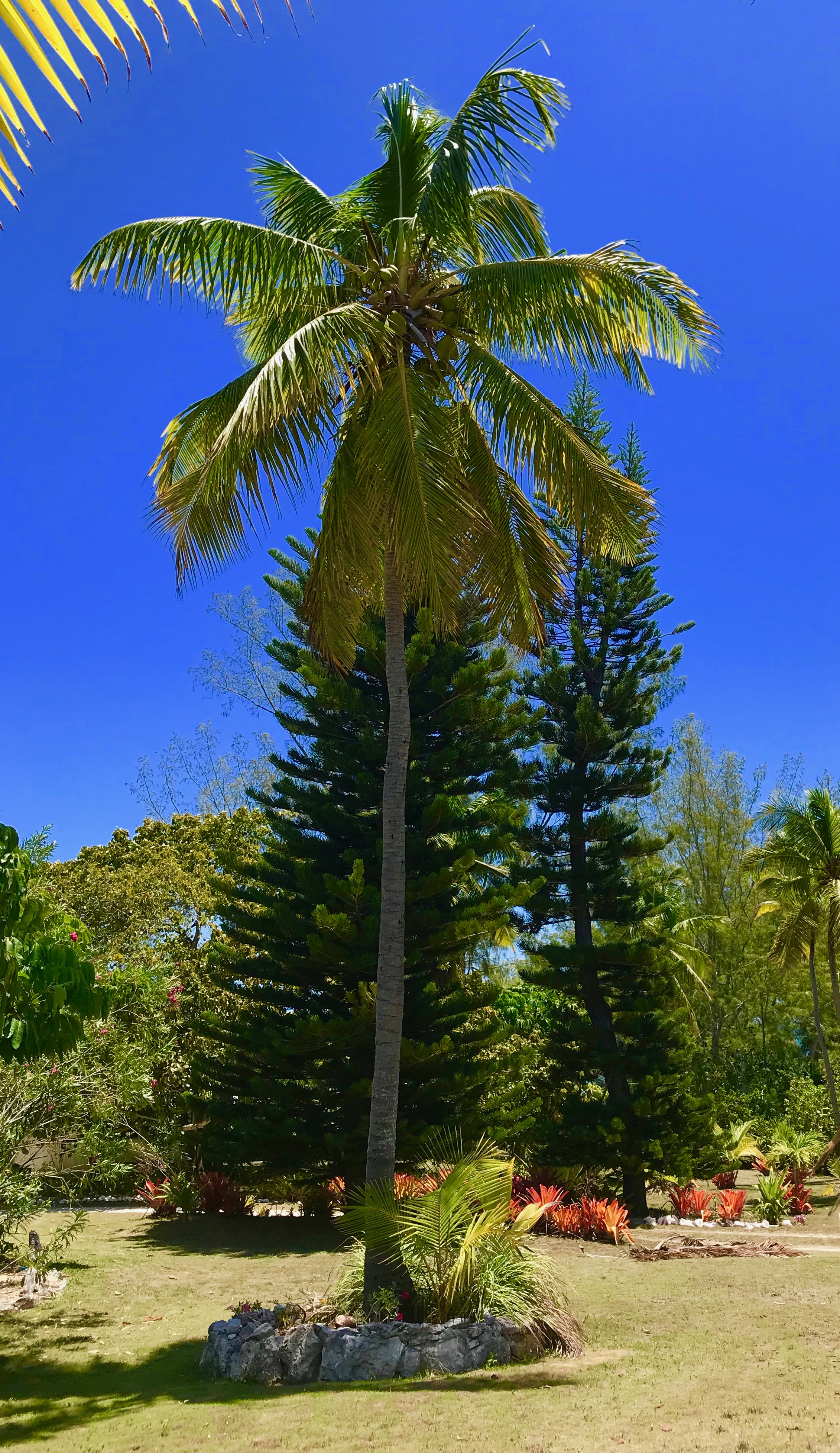 Bahamas Home 958546