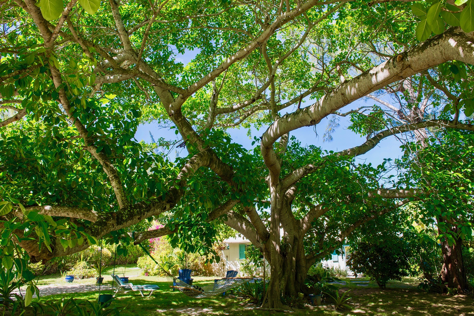 Bahamas Home 958547