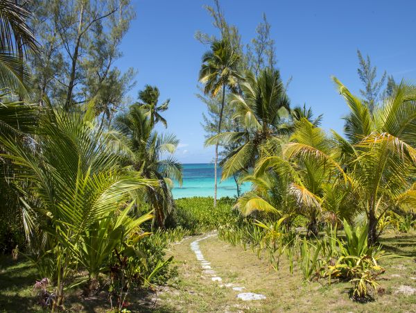 Bahamas Home 958547