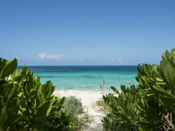 Bahamas Home 958547