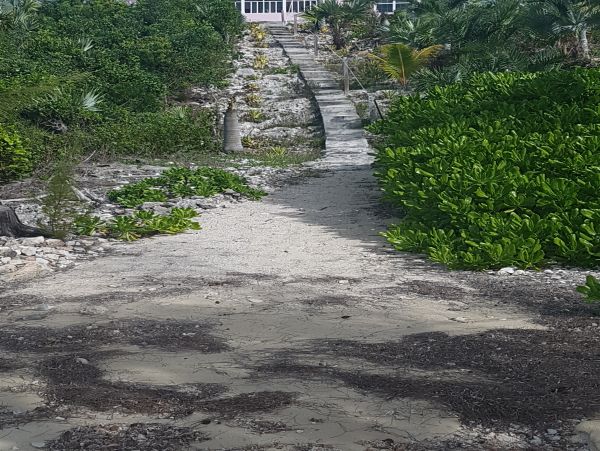 Bahamas Home 958550