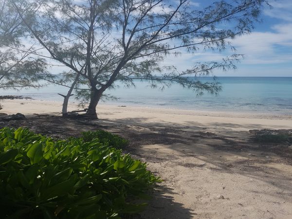Bahamas Home 958550