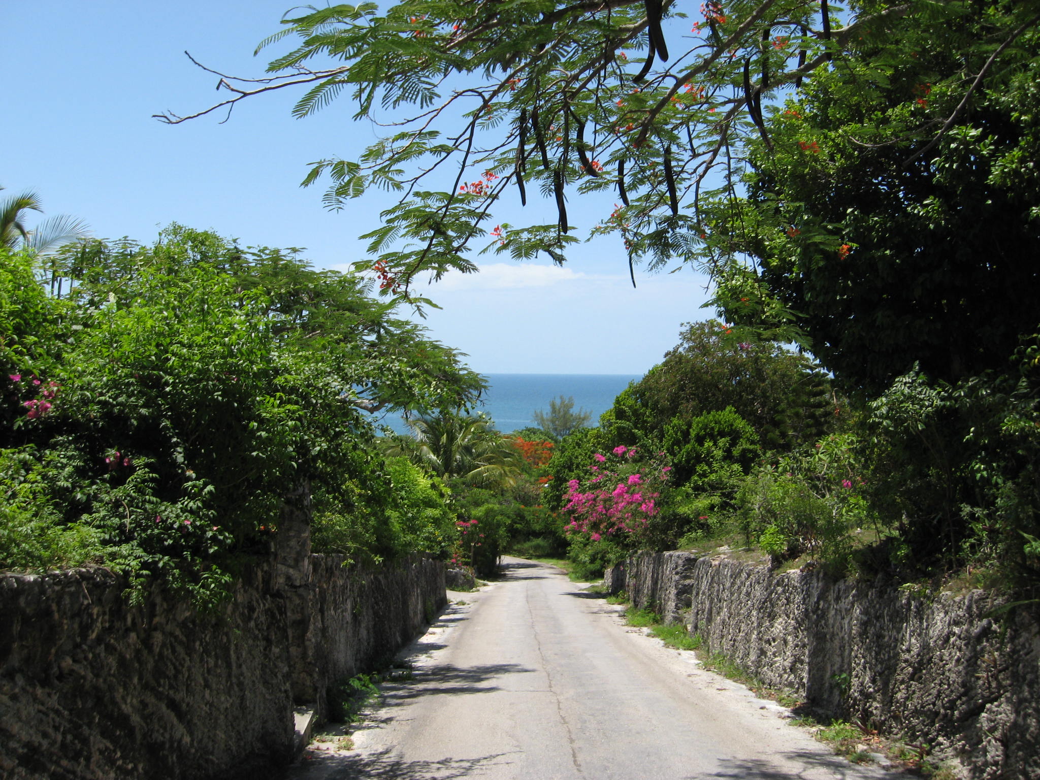 Bahamas Home 958556