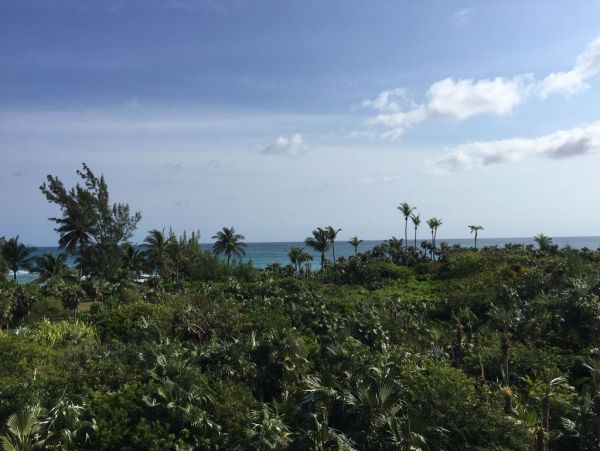 Bahamas Home 958580