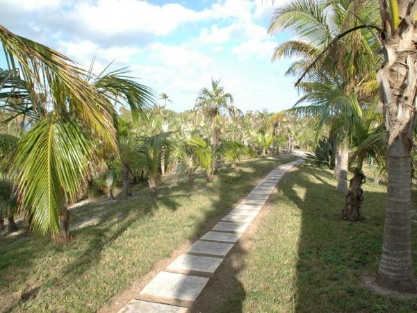 Bahamas Home 958580