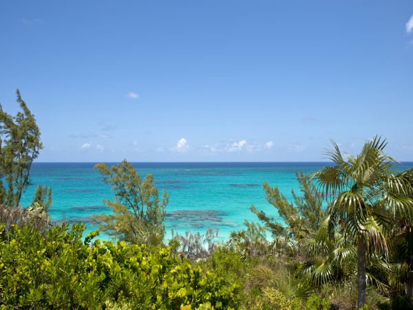 Bahamas Home 958582