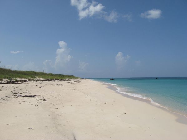Bahamas Condo 958584