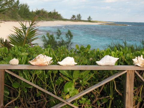Bahamas Home 958586
