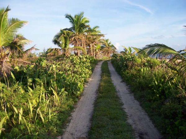 Bahamas Home 958586
