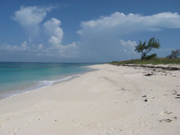 Bahamas Condo 958592