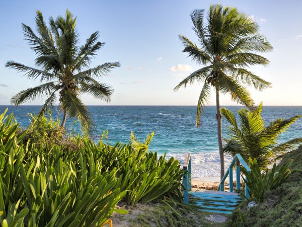 Beachfront 7 Bedrooms Estate Plus Guest House in Bahamas