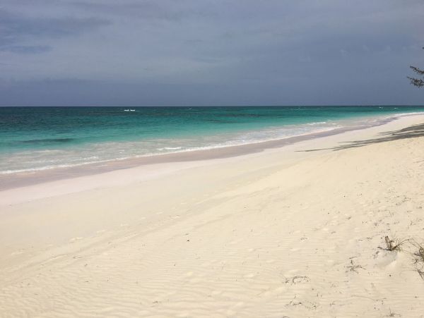 Beachfront 7 Bedrooms Estate Plus Guest House in Bahamas
