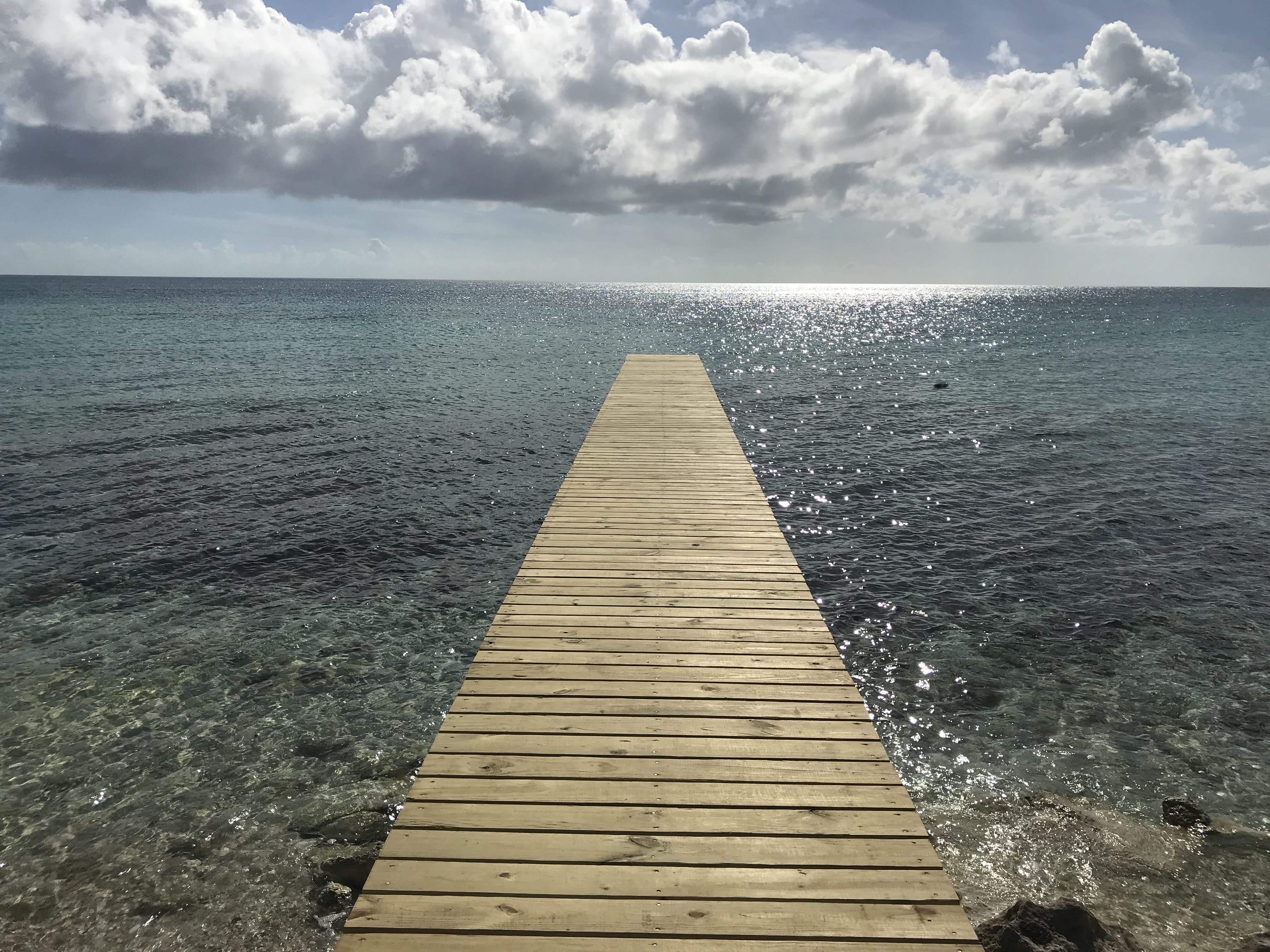 Bahamas Condo 958600