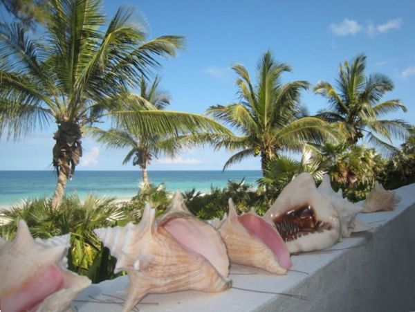 Bahamas Home 958602