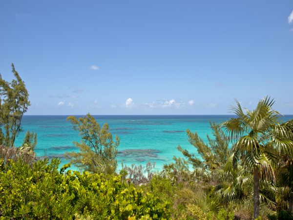 Bahamas Home 958602