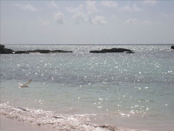 Bahamas Home 958602