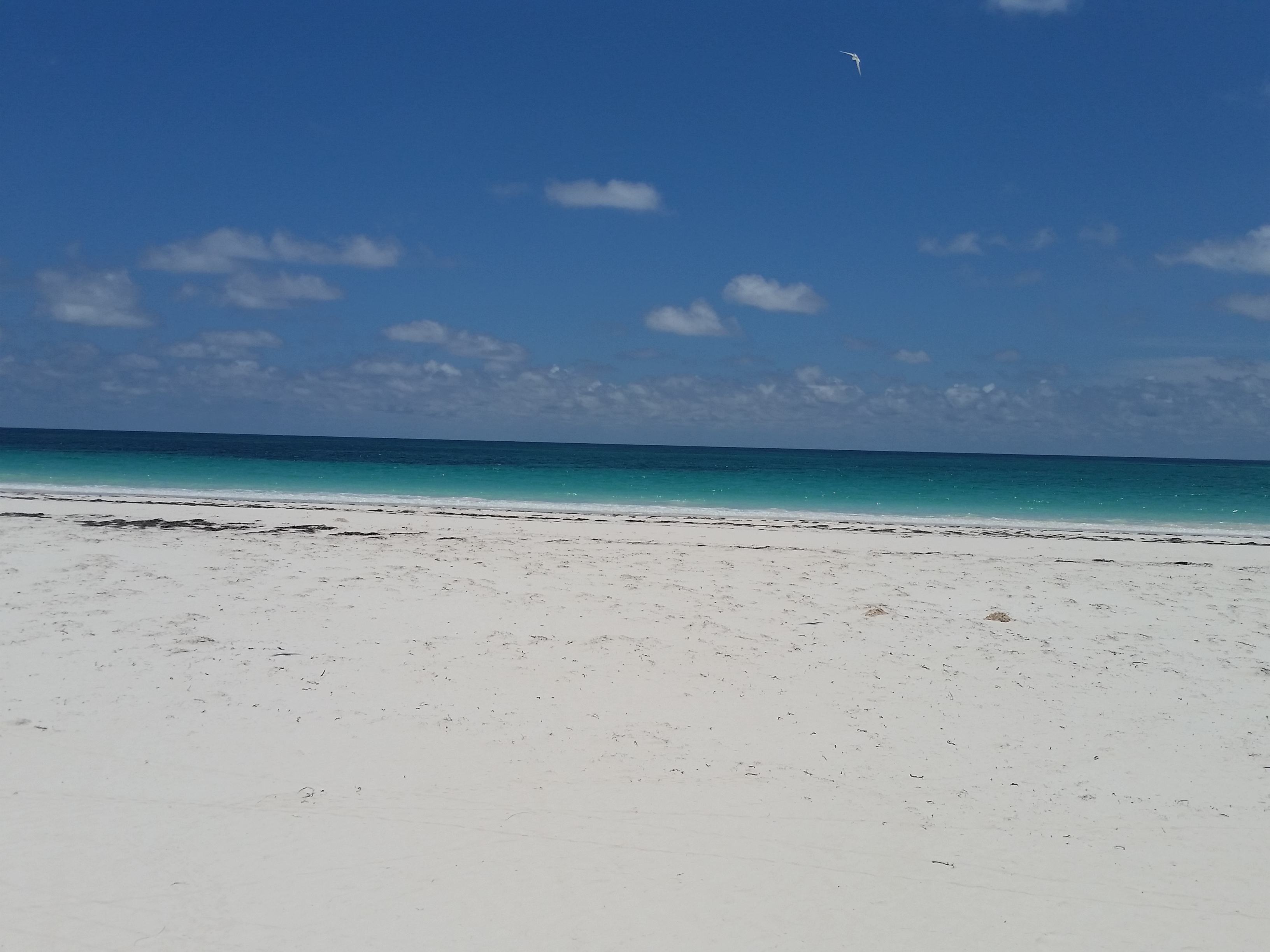 Bahamas Home 958602