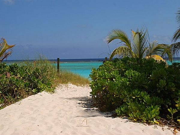 Beachfront Estate with 5 Bedrooms & Private Beach
