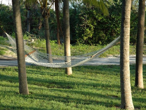 Beachfront Estate with 5 Bedrooms & Private Beach