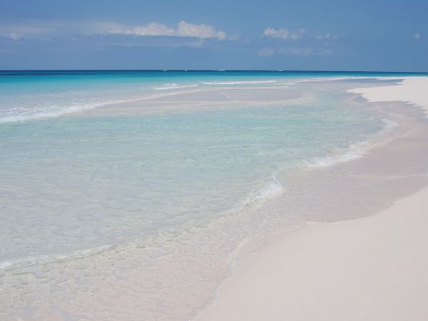 Beachfront Estate with 5 Bedrooms & Private Beach