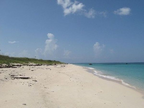 Bahamas Condo 958609