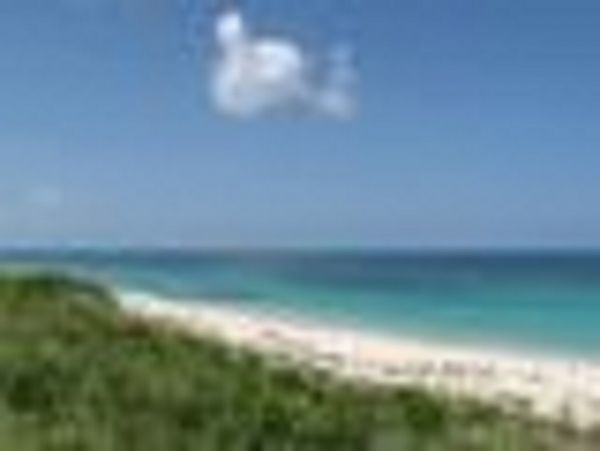 Bahamas Condo 958609