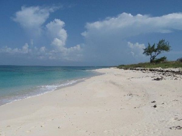 Bahamas Condo 958609
