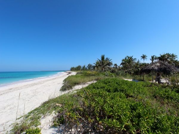 Luxurious Beachfront Estate with Private Cottages in Double Bay