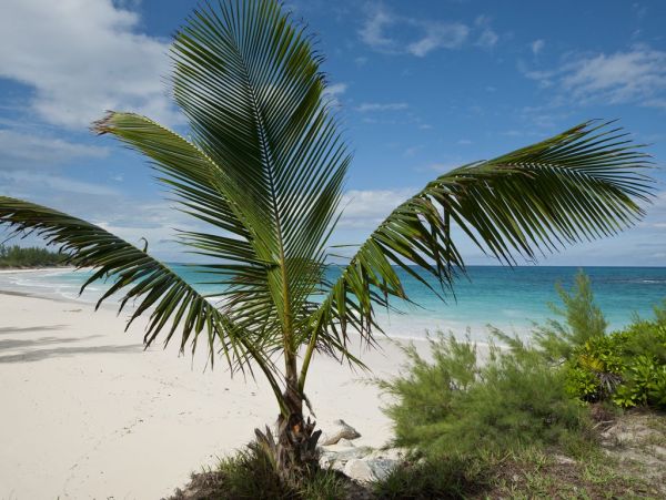 Bahamas Home 958617
