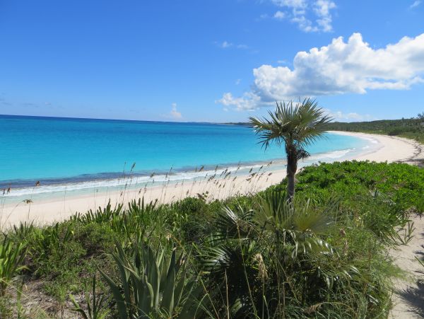 Bahamas Home 958627
