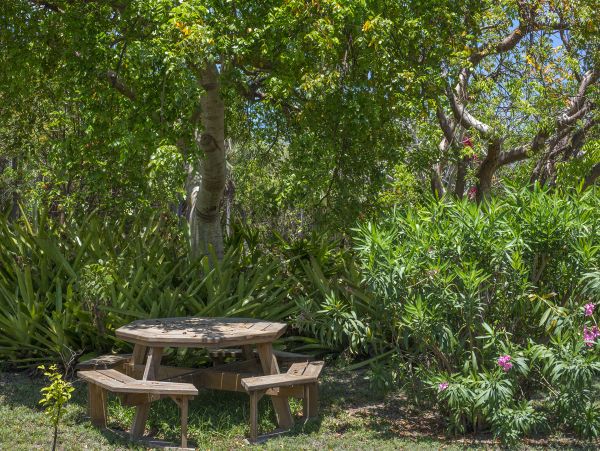 Bahamas Home 958628
