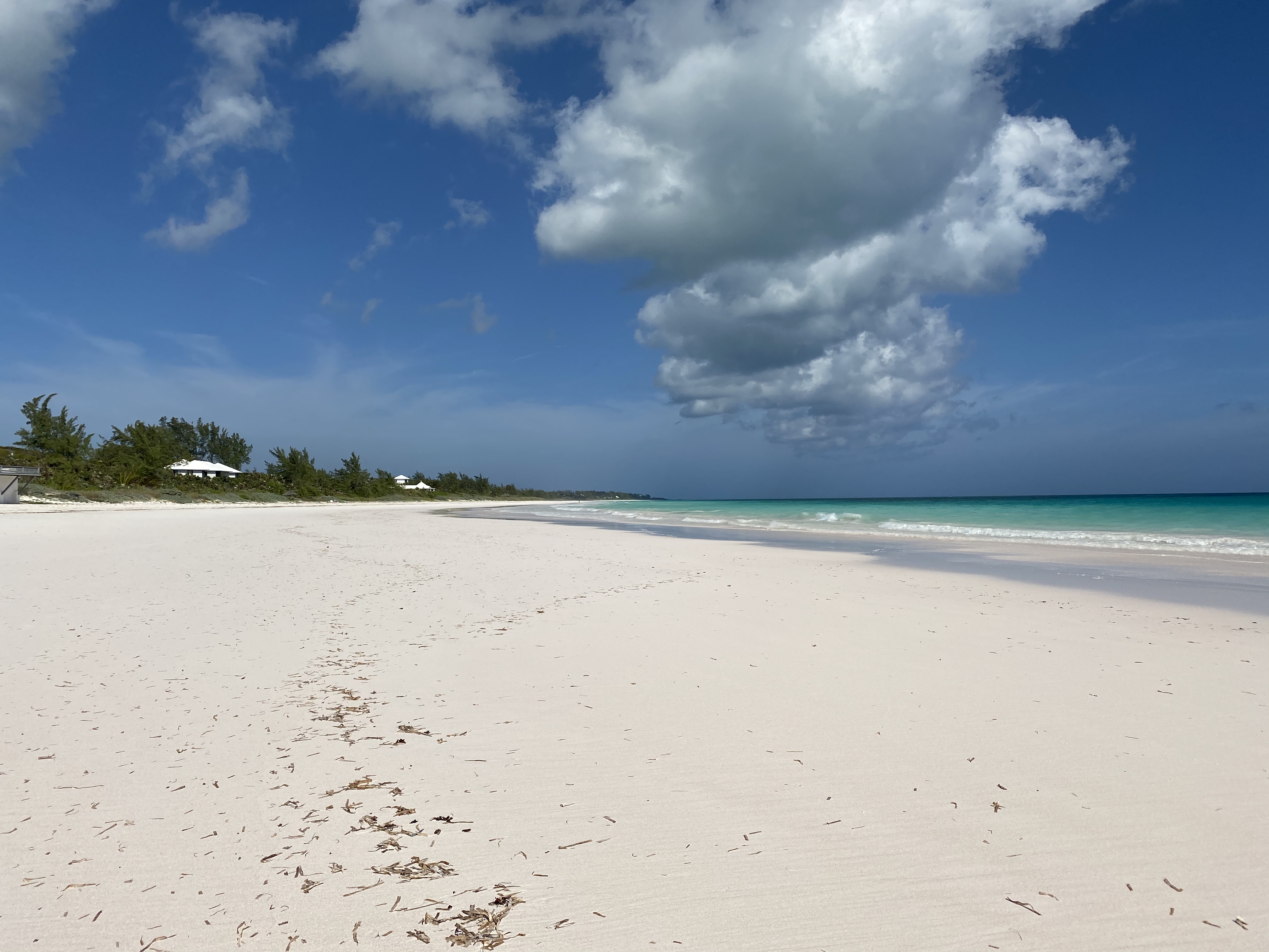 Bahamas Condo 958643