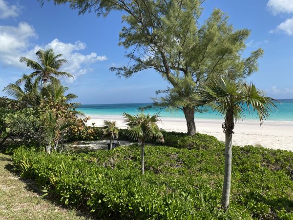 Bahamas Condo 958643