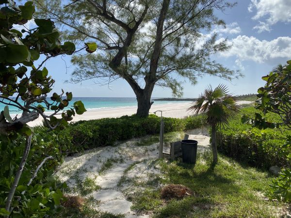 Bahamas Condo 958643