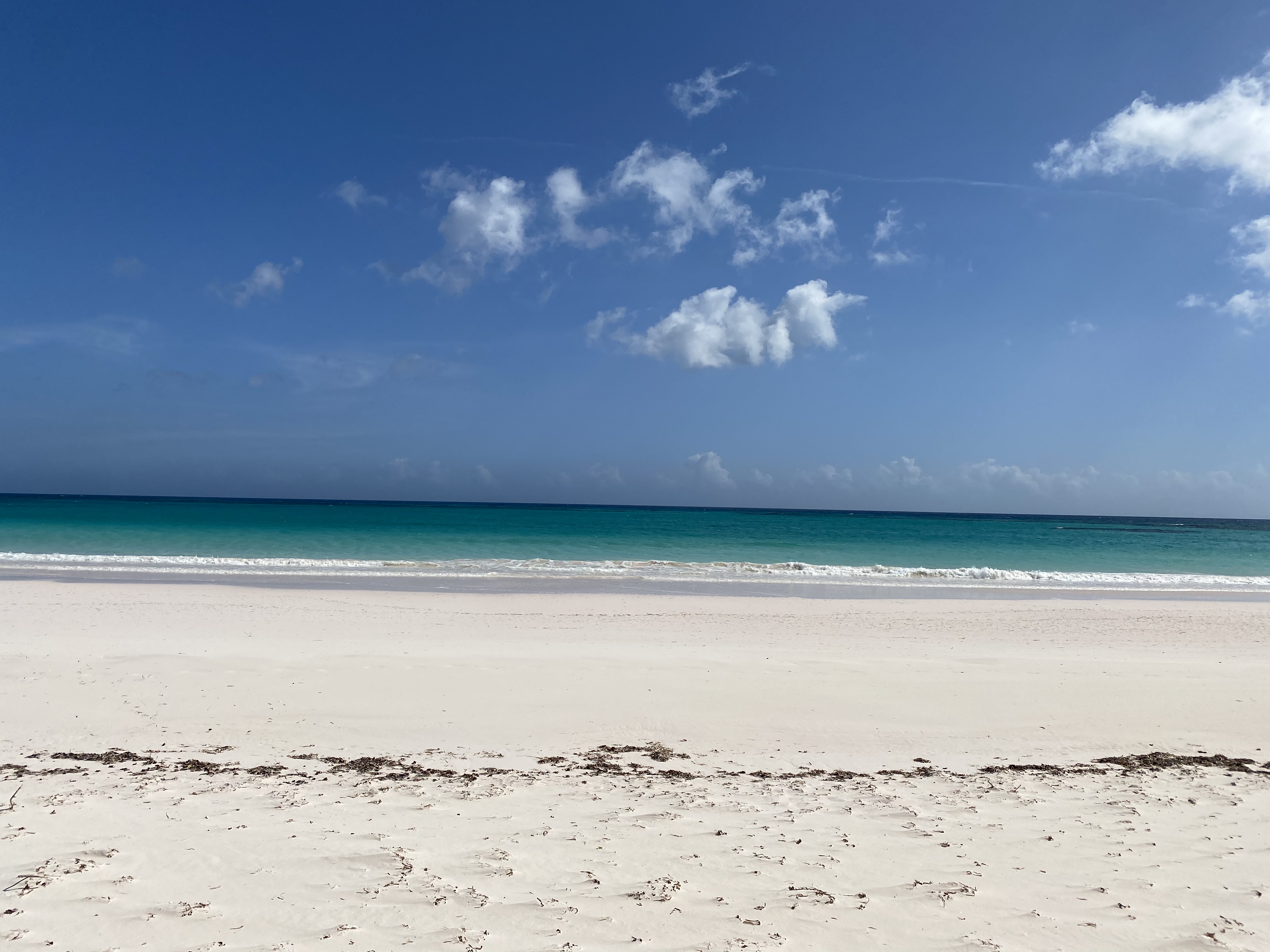 Bahamas Condo 958643