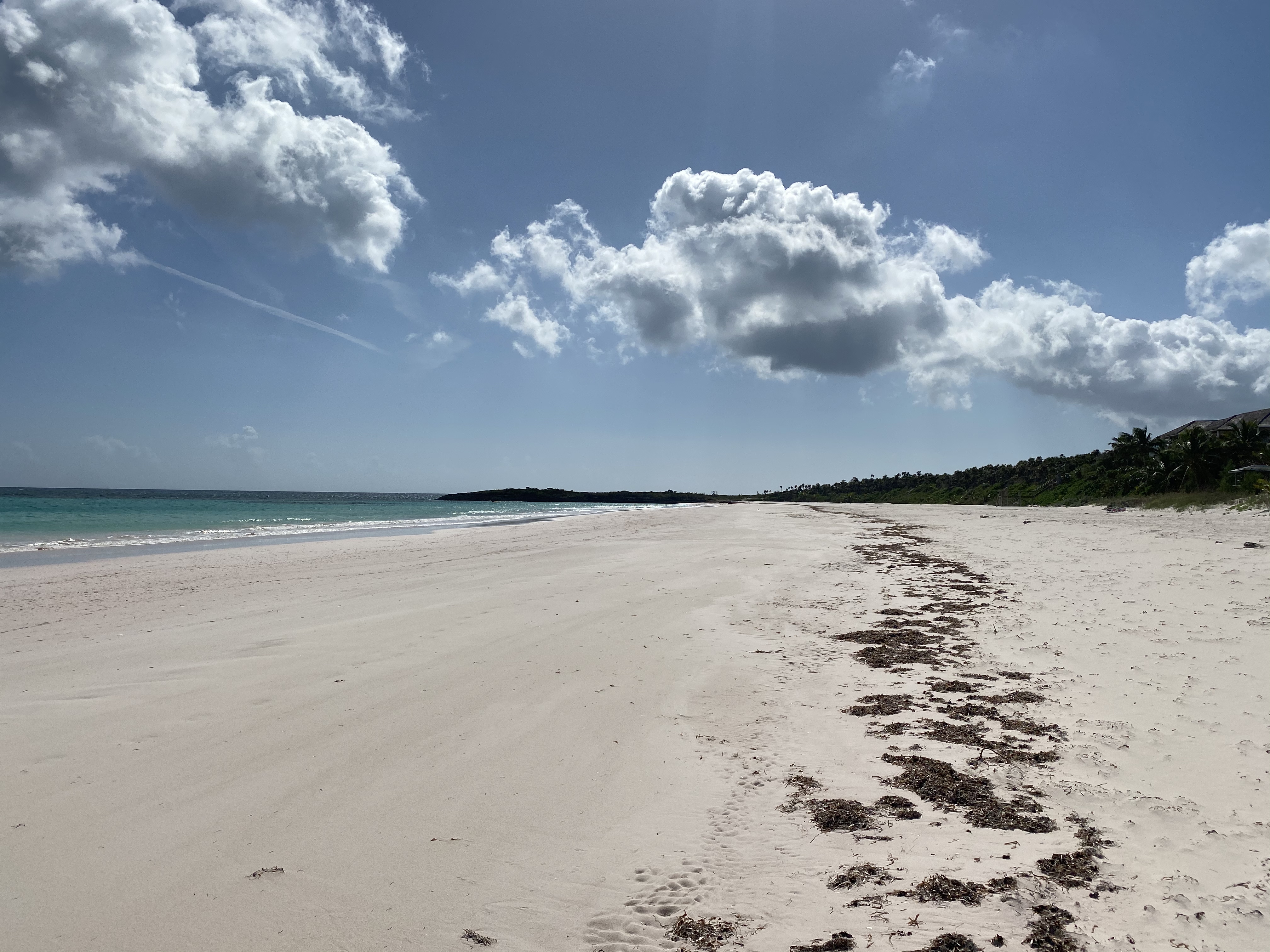 Bahamas Condo 958643