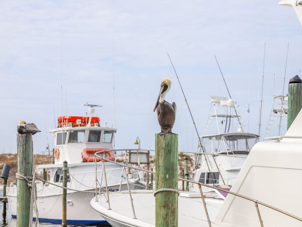 Destin Home 958674