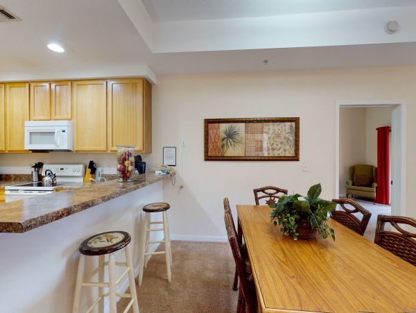 Orlando Condo 958710