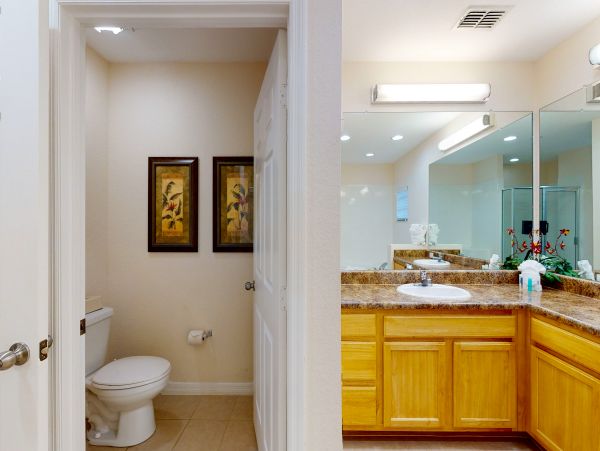 Orlando Condo 958710