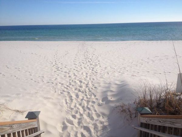 Perdido Key Condo 958737