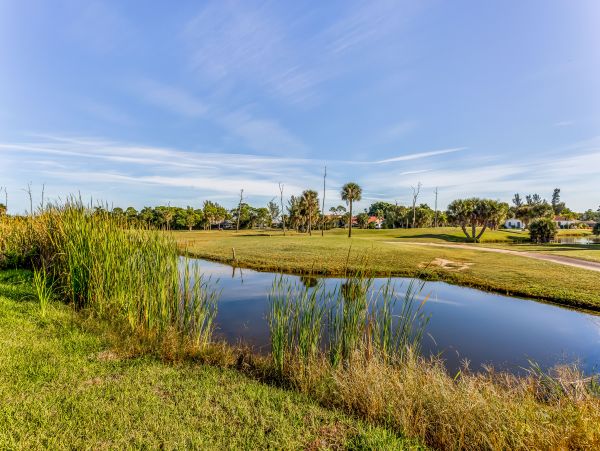 Cape Coral Home 958739