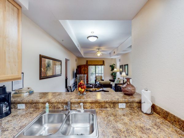 Orlando Condo 958753