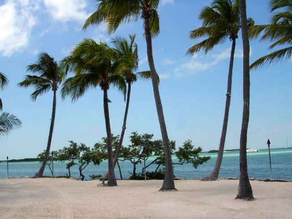 Oceanfront Four Bedroom Vacation Pool Home in Islamorada