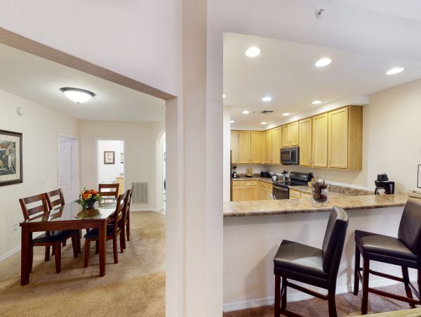 Orlando Condo 958794